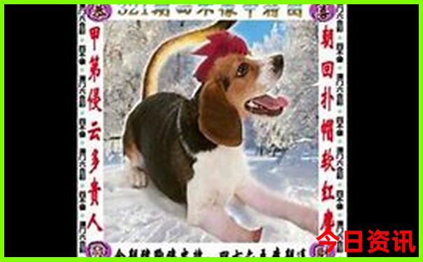 东三省自驾游路线图攻略