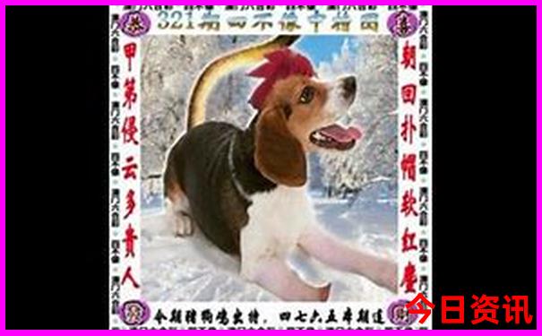 金丝峡周边游玩景点推荐
